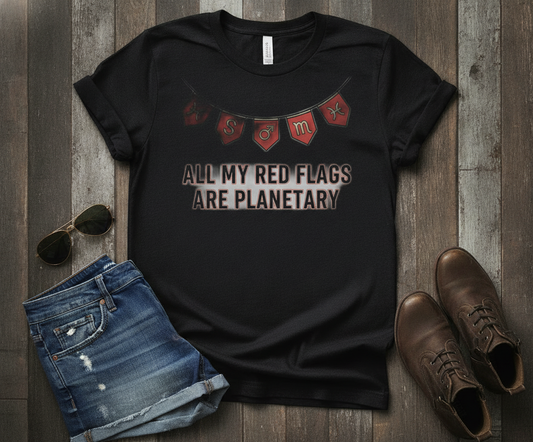 All My Red Flags Are Planetary — Oversized Astrology Tee